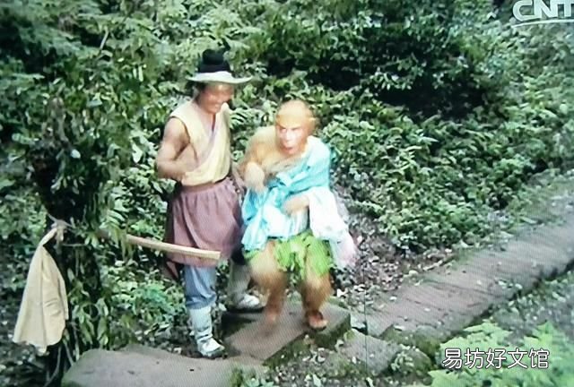 孙悟空拜师遇到的樵夫是谁
