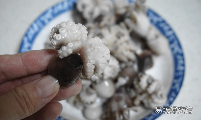 小章鱼一般要煮多久 小章鱼需要煮几分钟