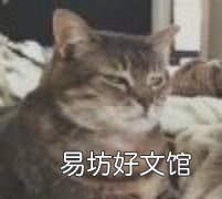 狗来富是要把狗养起来,猪来穷狗来富猫来开当铺是什么意思