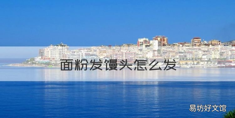 面粉发馒头怎么发,做馒头面粉怎么发酵最好