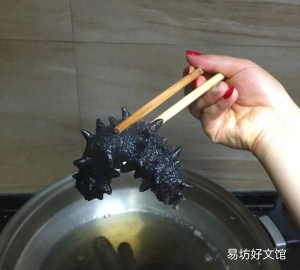 野生或底播和人工圈养的海参到底有什么区别,圈内人就是不告诉你