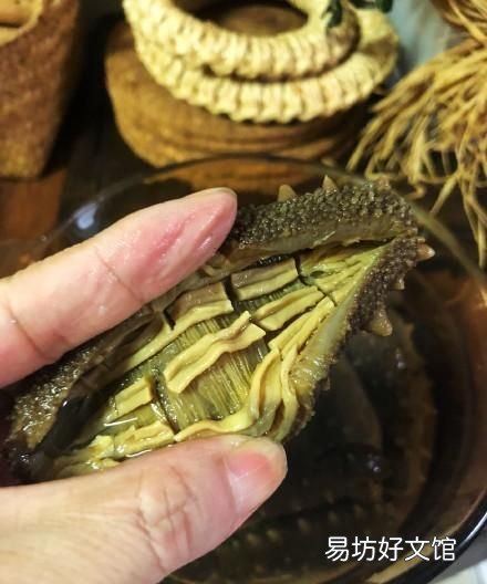 野生或底播和人工圈养的海参到底有什么区别,圈内人就是不告诉你