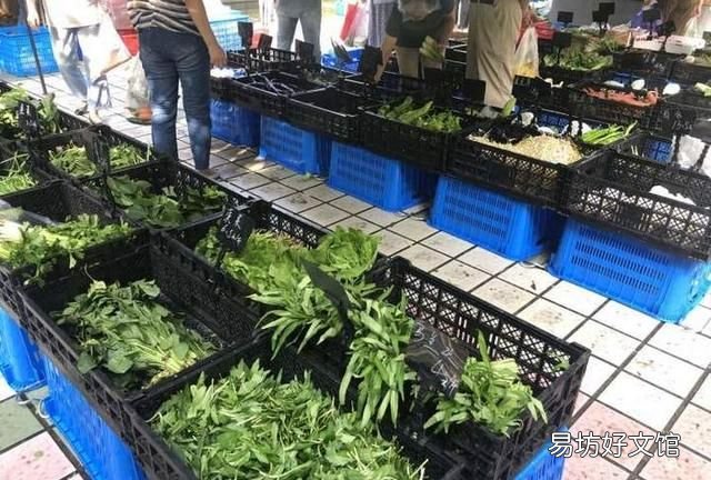 炒青菜怎么做:青菜怎么做才好吃?