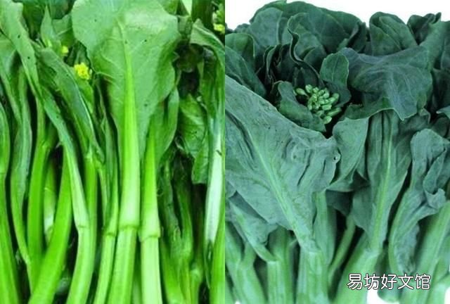 炒青菜怎么做:青菜怎么做才好吃?