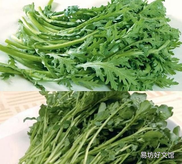 炒青菜怎么做:青菜怎么做才好吃?
