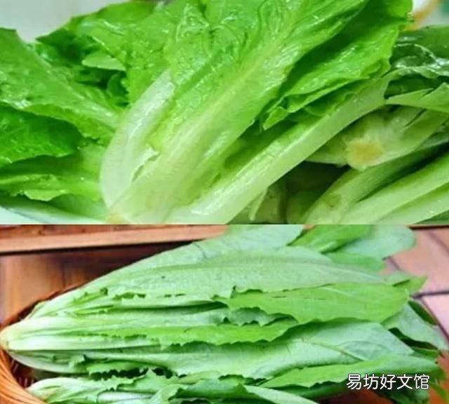 炒青菜怎么做:青菜怎么做才好吃?
