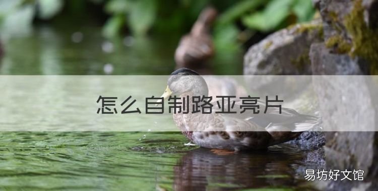 怎么自制路亚亮片,路亚竿假饵亮片一般是浮钓或是沉钓