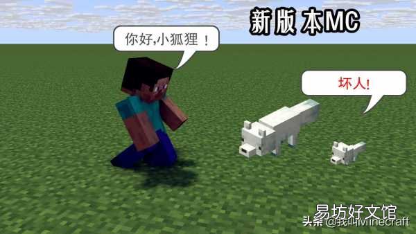 快来驯服属于你的小狐狸 mc狐狸驯服失败的原因