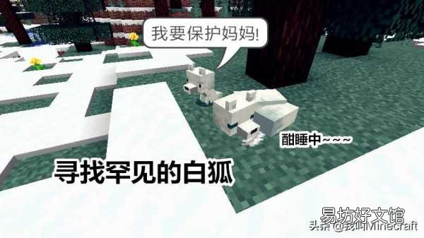 快来驯服属于你的小狐狸 mc狐狸驯服失败的原因