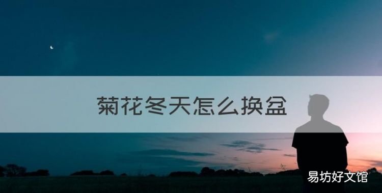 菊花冬天怎么换盆,菊花的栽培养护管理技术