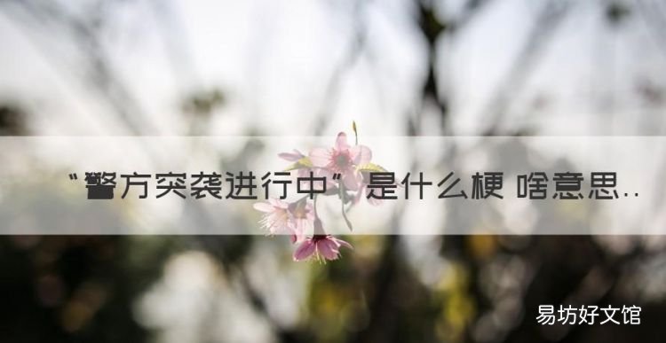 高端按摩价格，“警方突袭进行中”是什么梗 啥意思