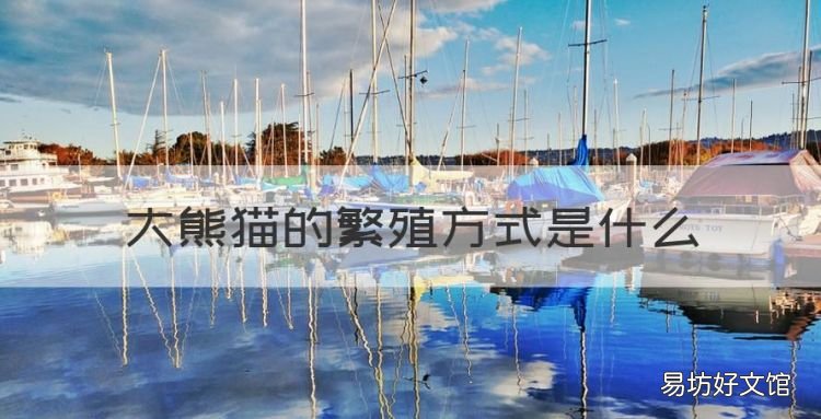 熊猫是怎么繁殖的视频,大熊猫的繁殖方式是什么