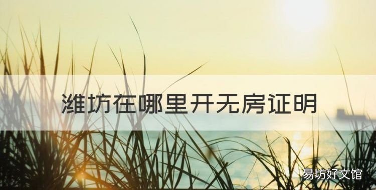 潍坊在哪里开无房证明,南通政务中心可以打无房证明吗