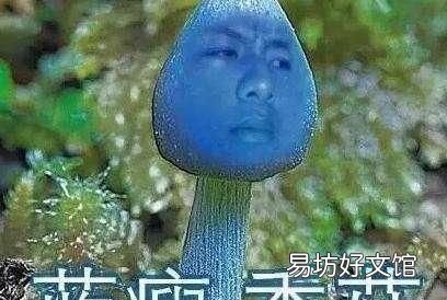蓝瘦香菇真的存在吗