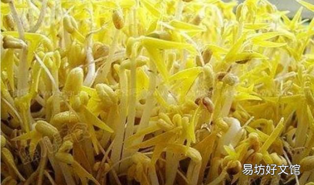 怎么生绿豆芽好吃