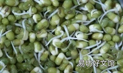 怎么生绿豆芽好吃