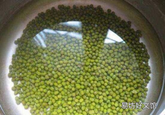 怎么生绿豆芽好吃