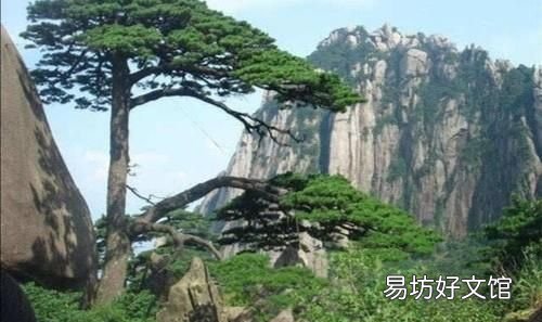 泰山在哪里 泰山是中国最美的建筑典范之一