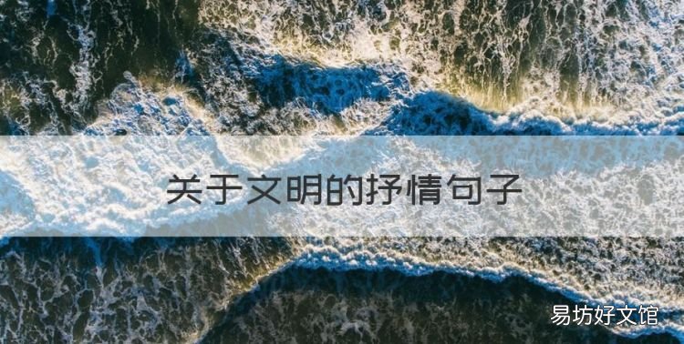 关于文明的抒情句子,关于文明的好句好段