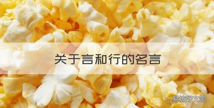 关于言和行的名言,与言行一致有关的名言