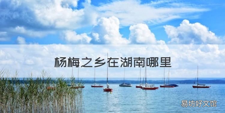 杨梅之乡在湖南哪里,浙江杨梅之乡在哪里仙居
