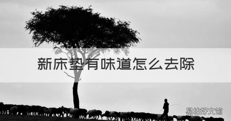 新床垫有味道怎么去除,新买的床垫气味很重怎么办?