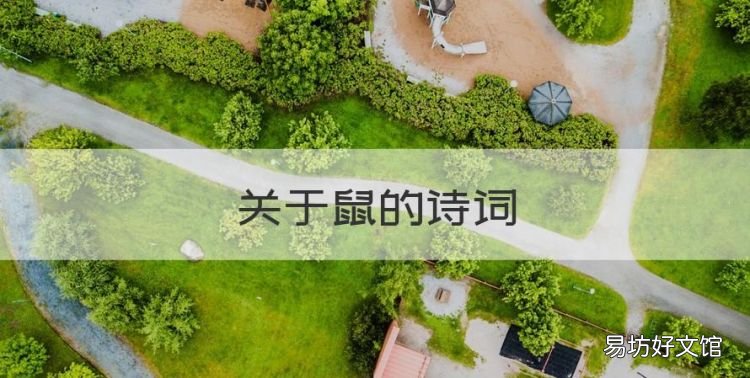 关于鼠的诗词,关于赞美母亲的诗句有哪些
