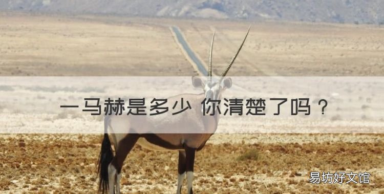 一马赫等于多少kmh,一马赫是多少 你清楚了