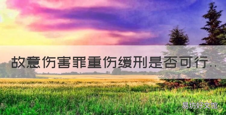 故意伤害罪重伤缓刑是否可行,故意伤害罪致人重伤缓刑几率大吗