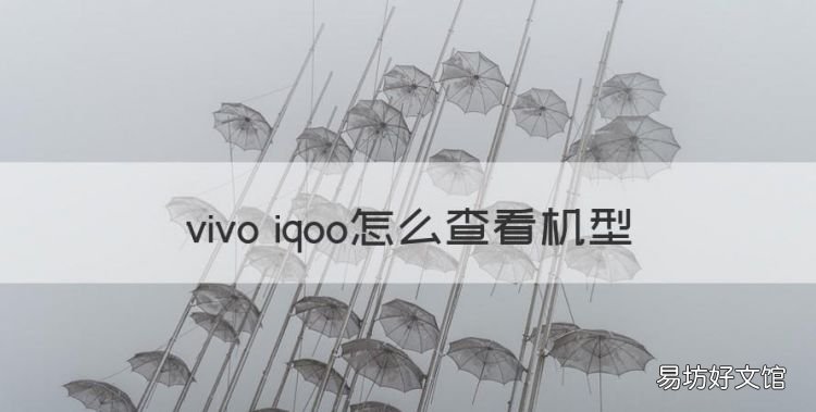 vivo iqoo怎么查看机型,vivo怎么查询手机型号