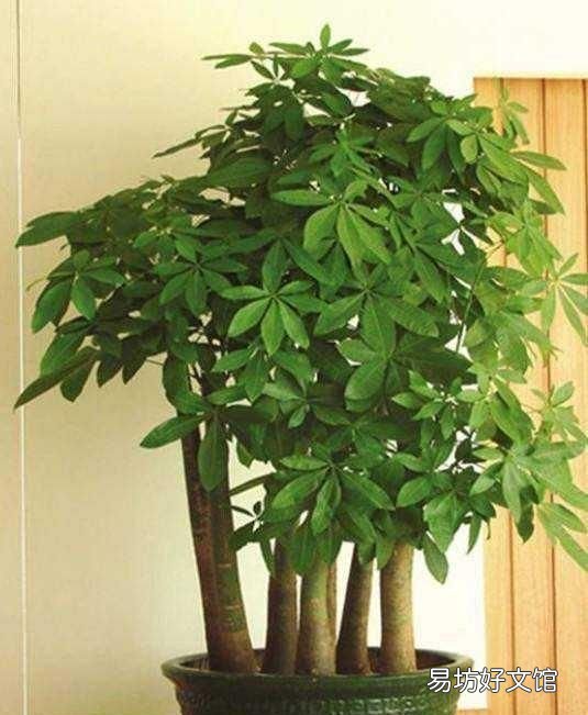 朋友搬新家适合送什么礼物