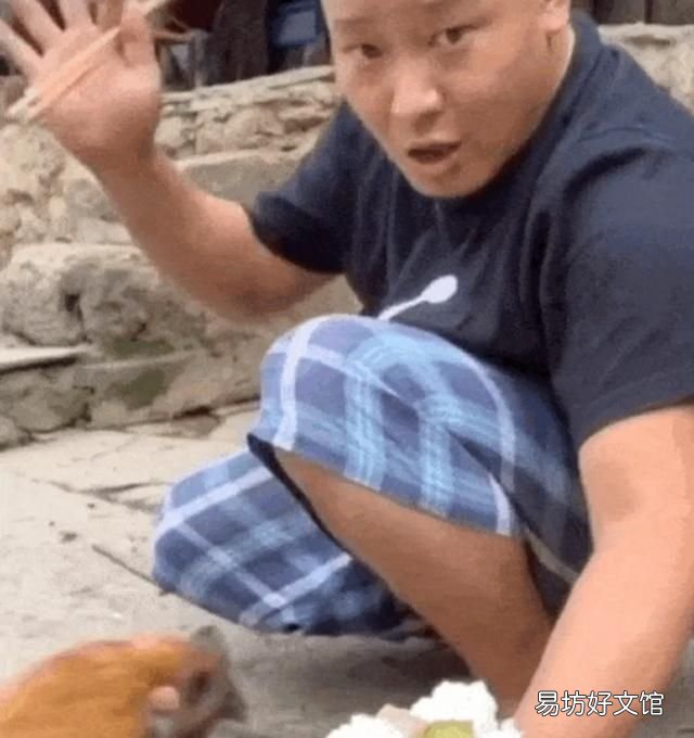 干饭人是什么意思? 干饭人是什么意思什么梗
