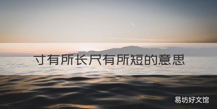 寸有所长尺有所短的意思,尺有所短寸有所长的意思