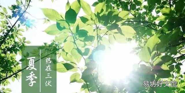 三伏天从哪一天开始算起呢2020年