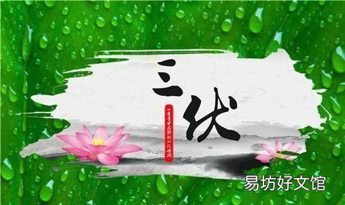 三伏天从哪一天开始算起呢2020年