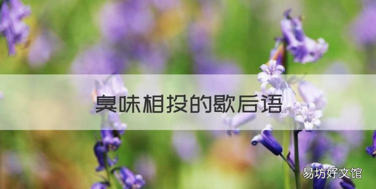 臭味相投的歇后语,黄鼠狼和狐狸结亲臭味相投