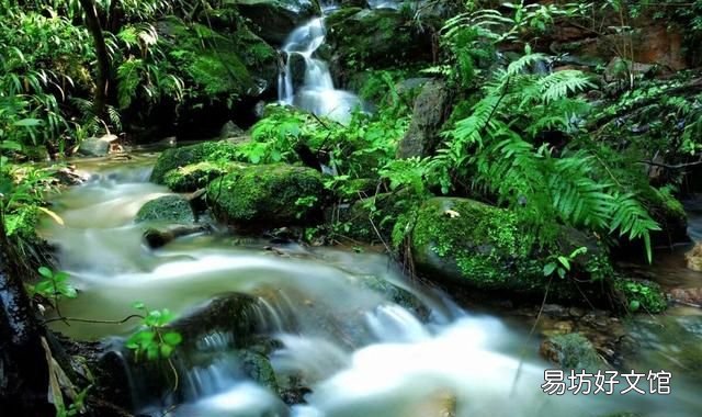 三年级孩子写作文像挤牙膏一样痛苦,总觉得写得没文采,不愿写,怎样帮他提高自信