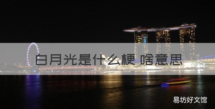 白月光是什么梗 啥意思，白月光是什么意思朱砂痣又是什么意思