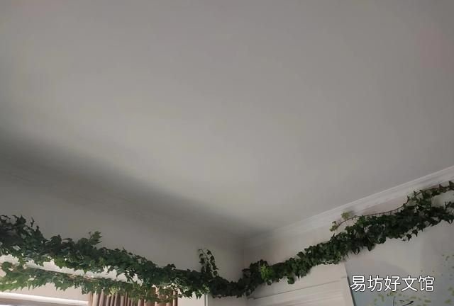 家里再穷也要养这3种花:养花是怎样的体验?