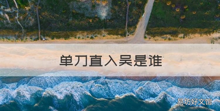 单刀直入吴是谁,匹马平吞魏,单刀直入吴的主人公是谁