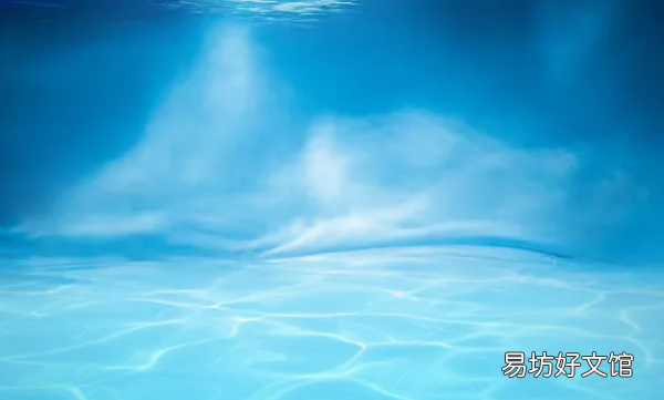 活虾怎么处理,虾怎么养才能养活