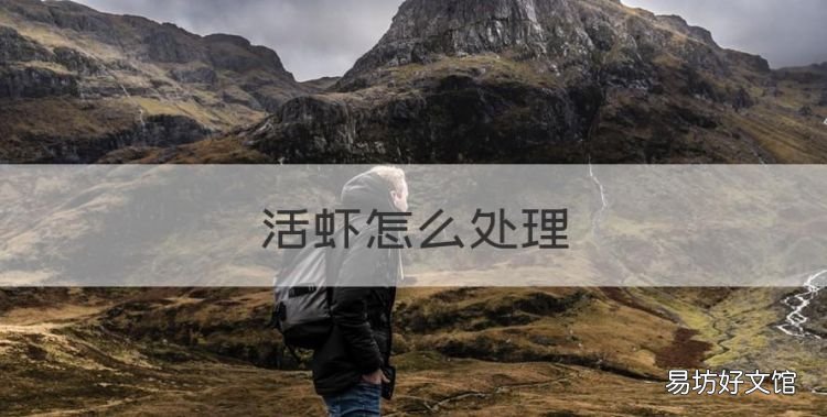 活虾怎么处理,虾怎么养才能养活