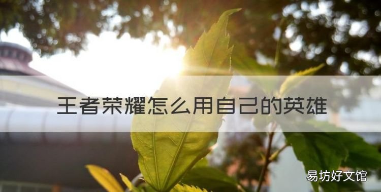 王者荣耀怎么用自己的英雄,王者荣耀如何找到自己的本命英雄?