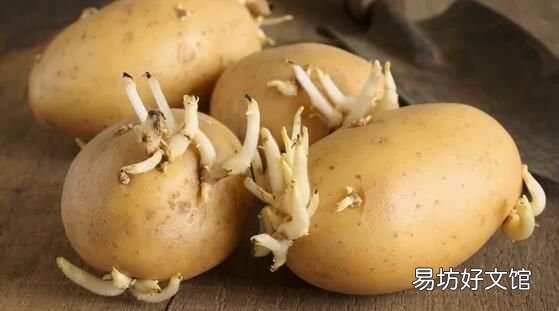 学会这三招教你如何鉴别翻新土豆