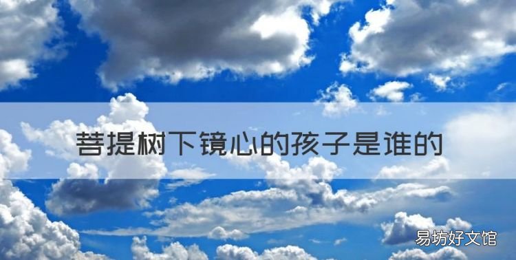 菩提树下镜心的孩子是谁的,菩提树下静心怀的谁的孩子