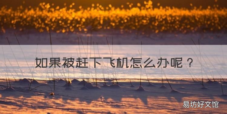 如果被赶下飞机怎么办