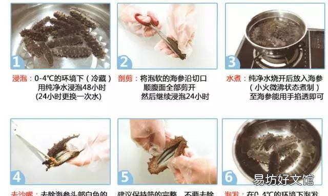 如何挑选海参 干海参的发制