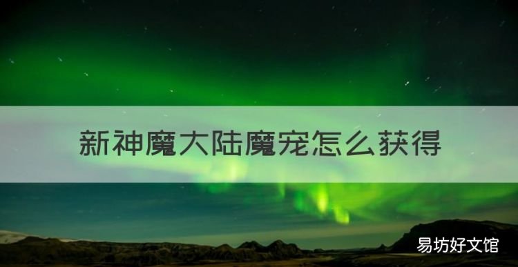 新神魔大陆魔宠怎么获得,神魔大陆魔宠灵魂契约能量怎么获得的