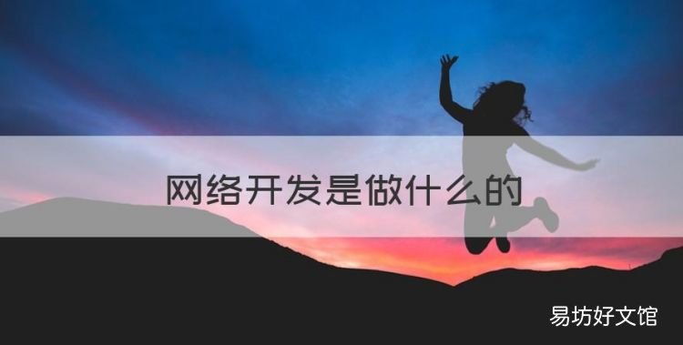 网络开发是做什么的