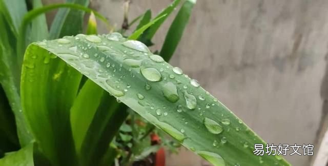 出梅了,几天不下雨出梅